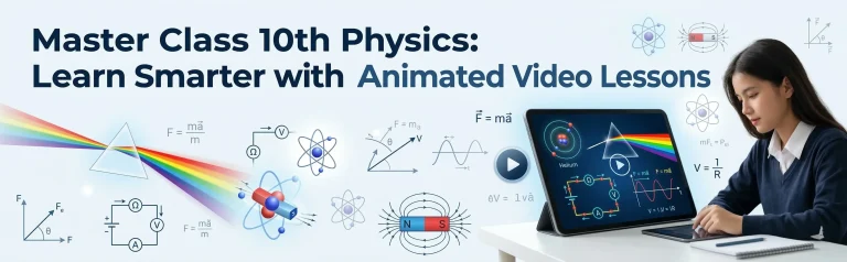 Learn with Animated Video Lessons