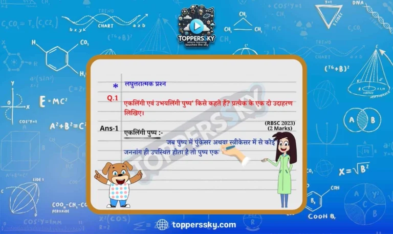 Topperssky answer writing tutorial