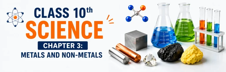 Science Chapter 3